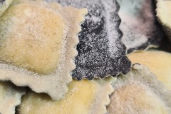 Raviolis au poisson
