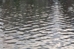 20240926_083231