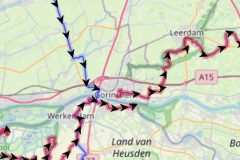 Screenshot_20240926_133036_dyomedea