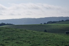 20240827_092115