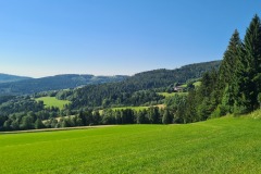 20240629_090551