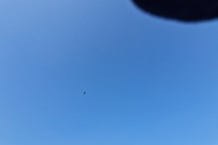 20241029_121021_001