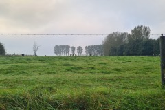 20241003_091516