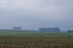 20241003_095344