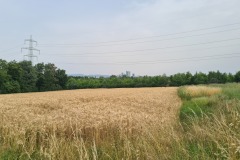 20240630_091325
