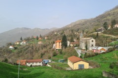Scoffera
