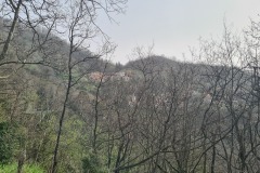 Sottocolle