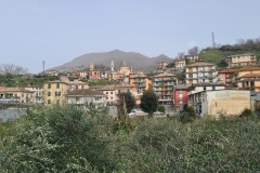 Gattorna