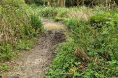 Ciclovia dell'ardesia après Calvari