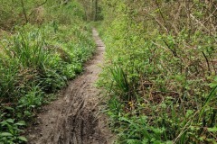 Ciclovia dell'ardesia après Calvari