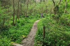 Ciclovia dell'ardesia après Calvari