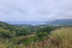 20240531_080206
