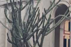 Piazza Marconi, Lavagna