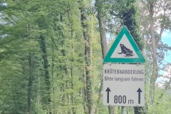 20240704_123205