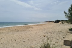 20240507_111533