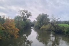 20241008_092226