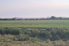 20240908_082054