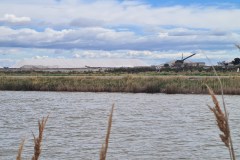 Les salins du midi
