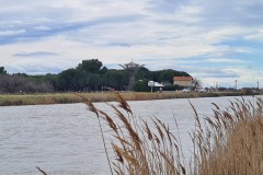 Les salins du midi