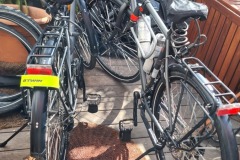 Les vélos n'attendent que l e départ