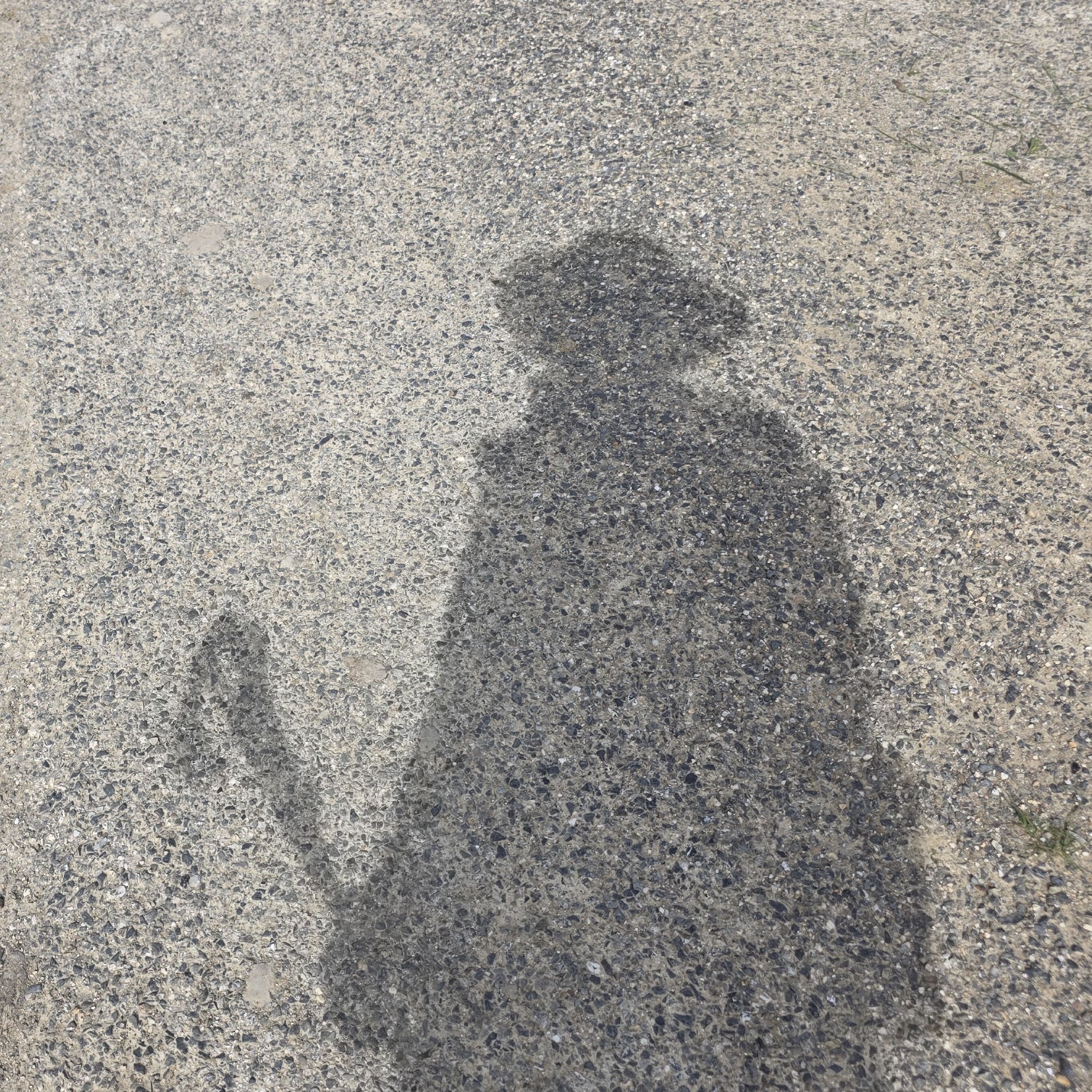 Un mois sur les chemins de Compostelle