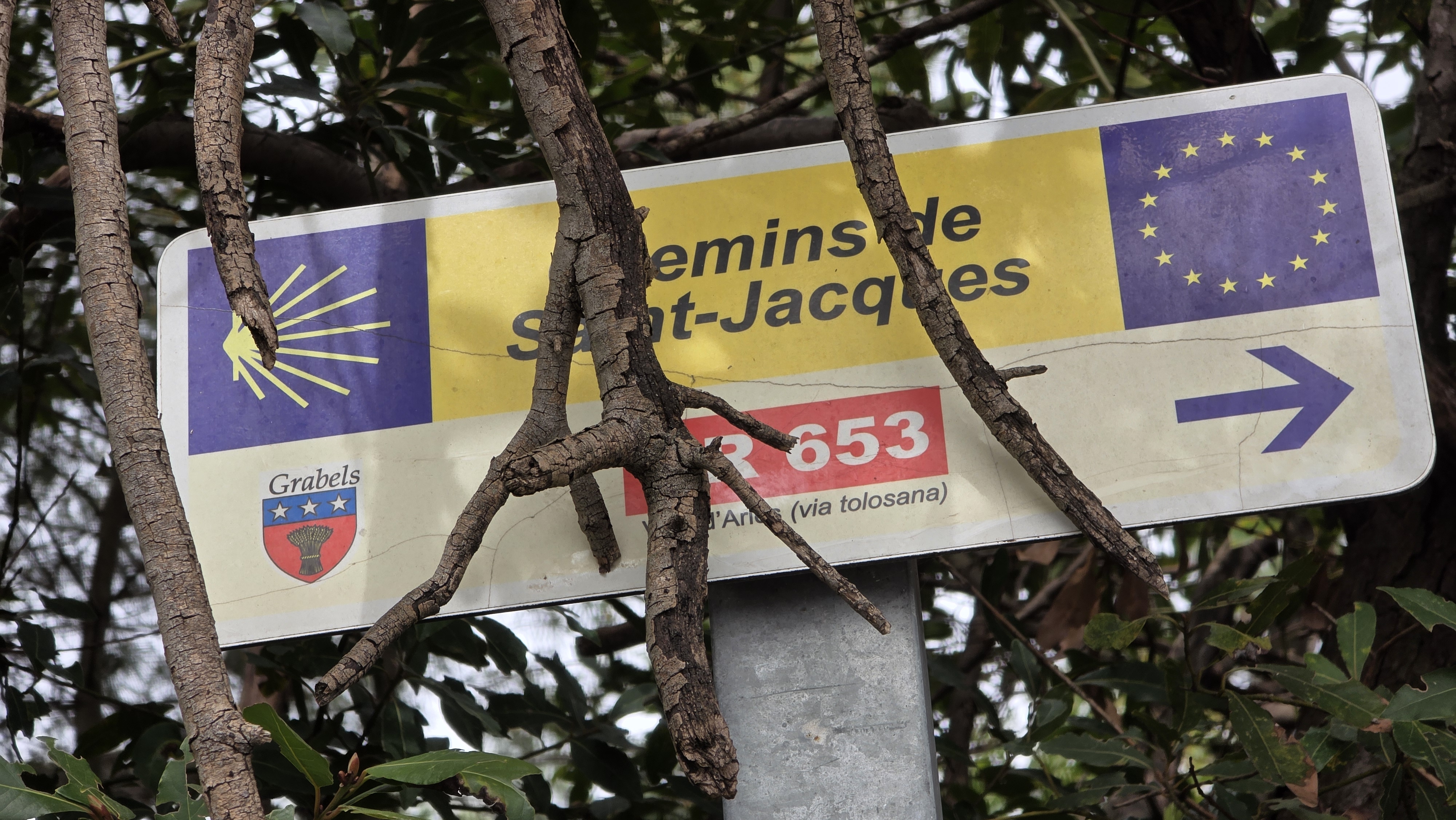 Une semaine de Via Tolosana