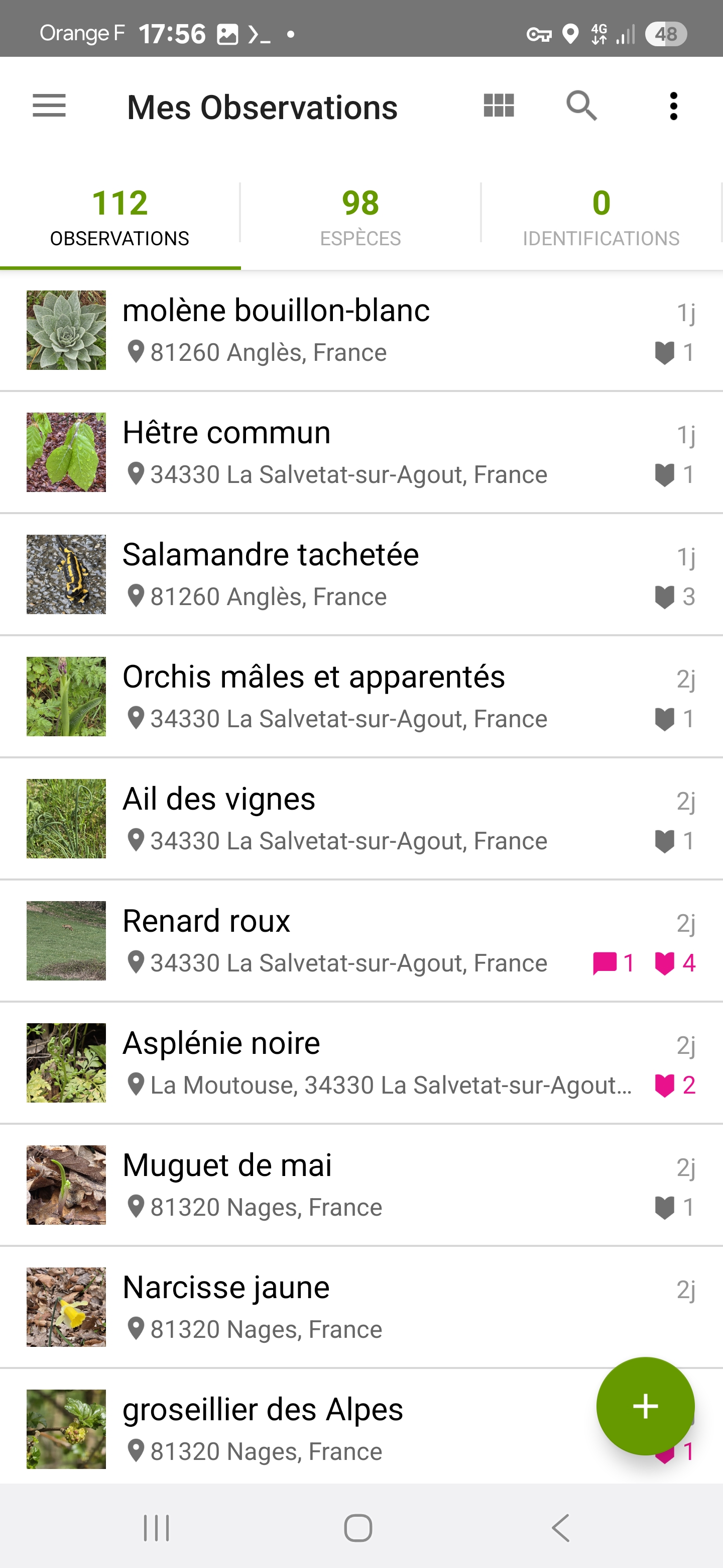 WhoBird et iNaturalist