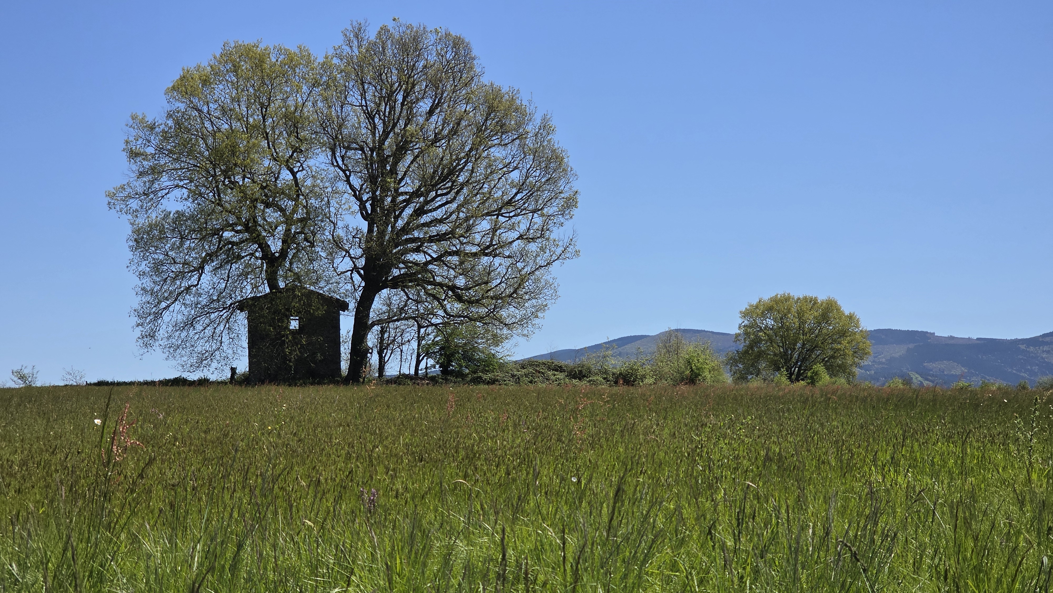 Compostelle sur macadam