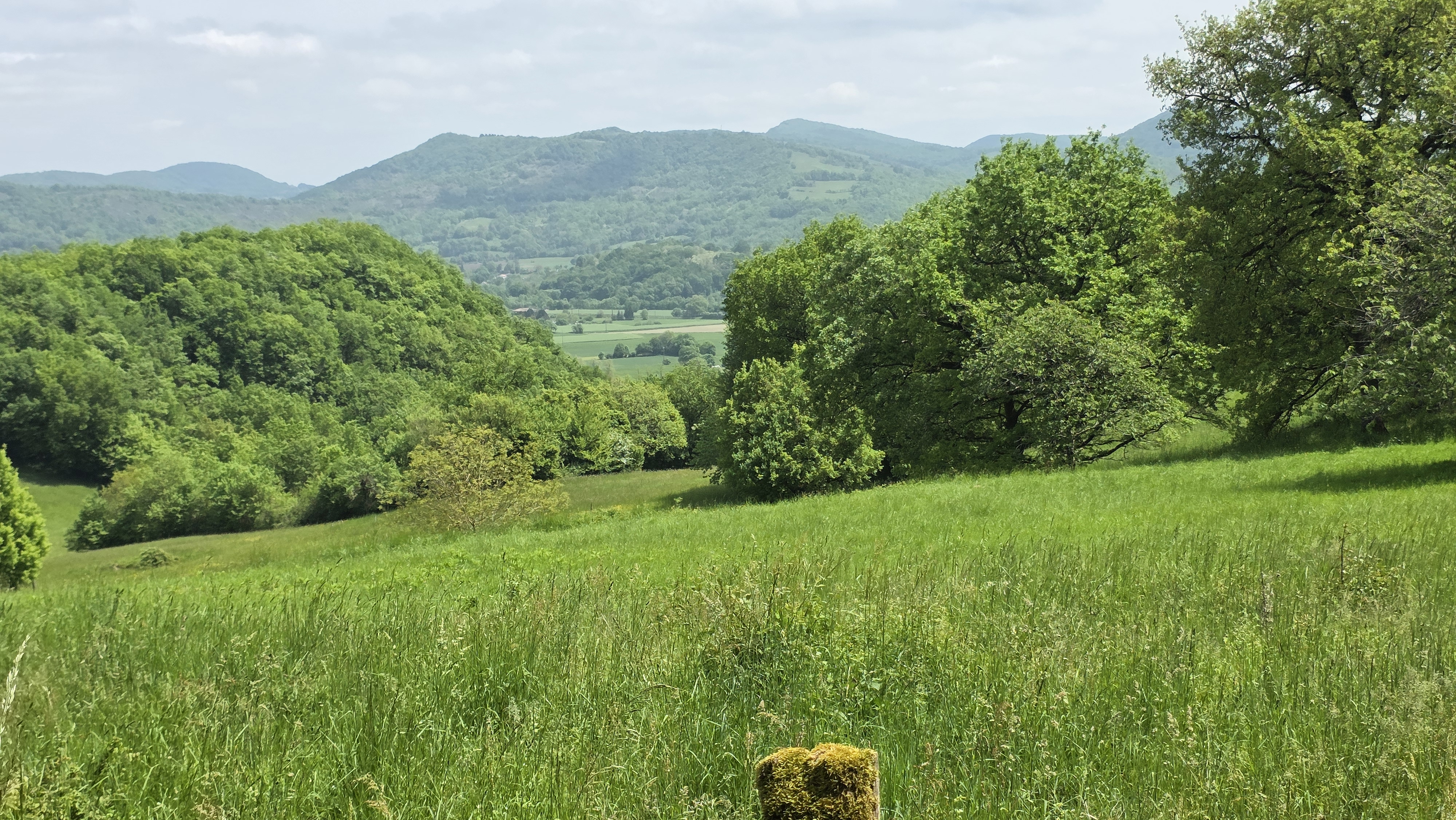 Avant l&rsquo;alerte