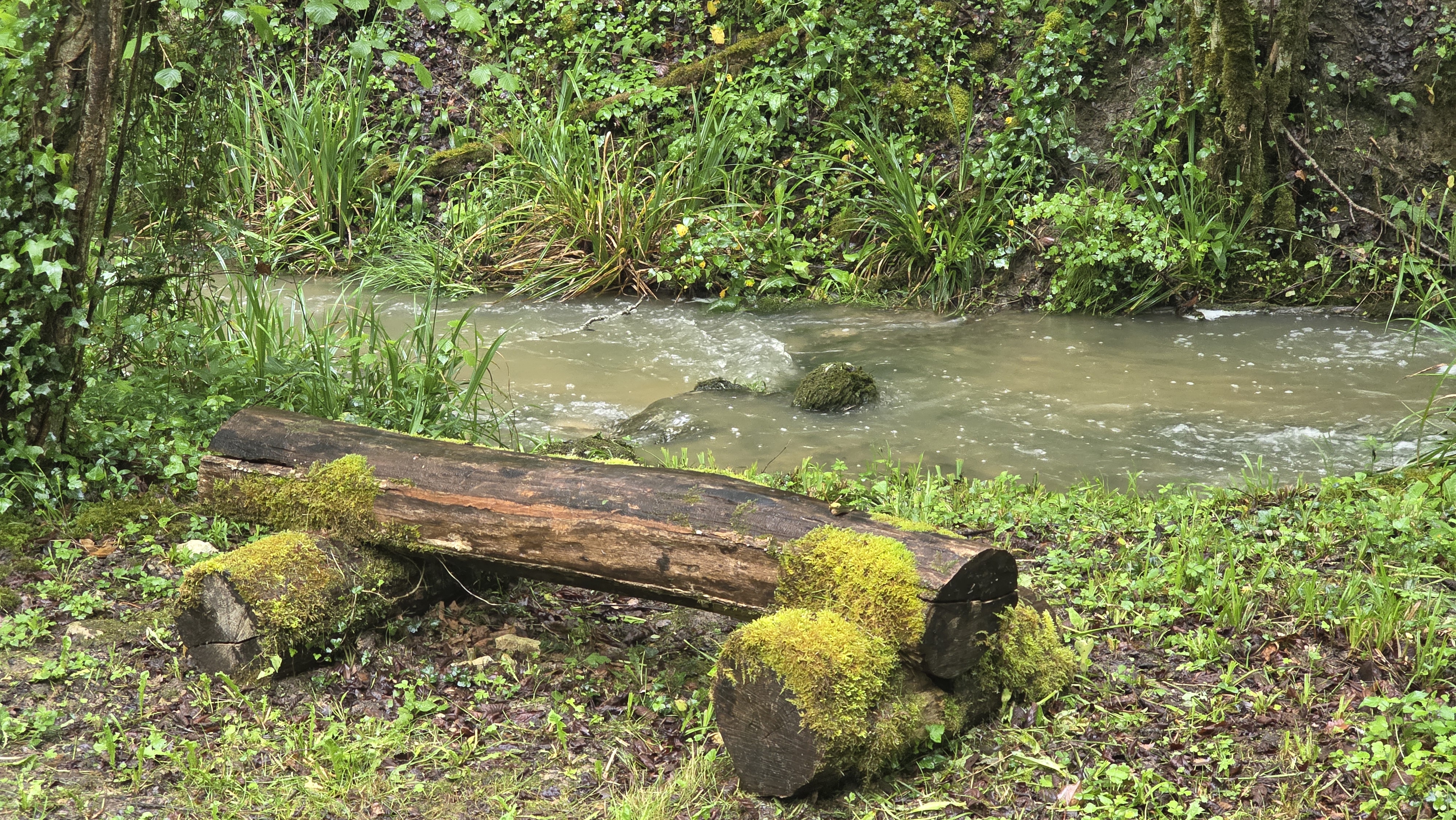 Compostelle semaine 5