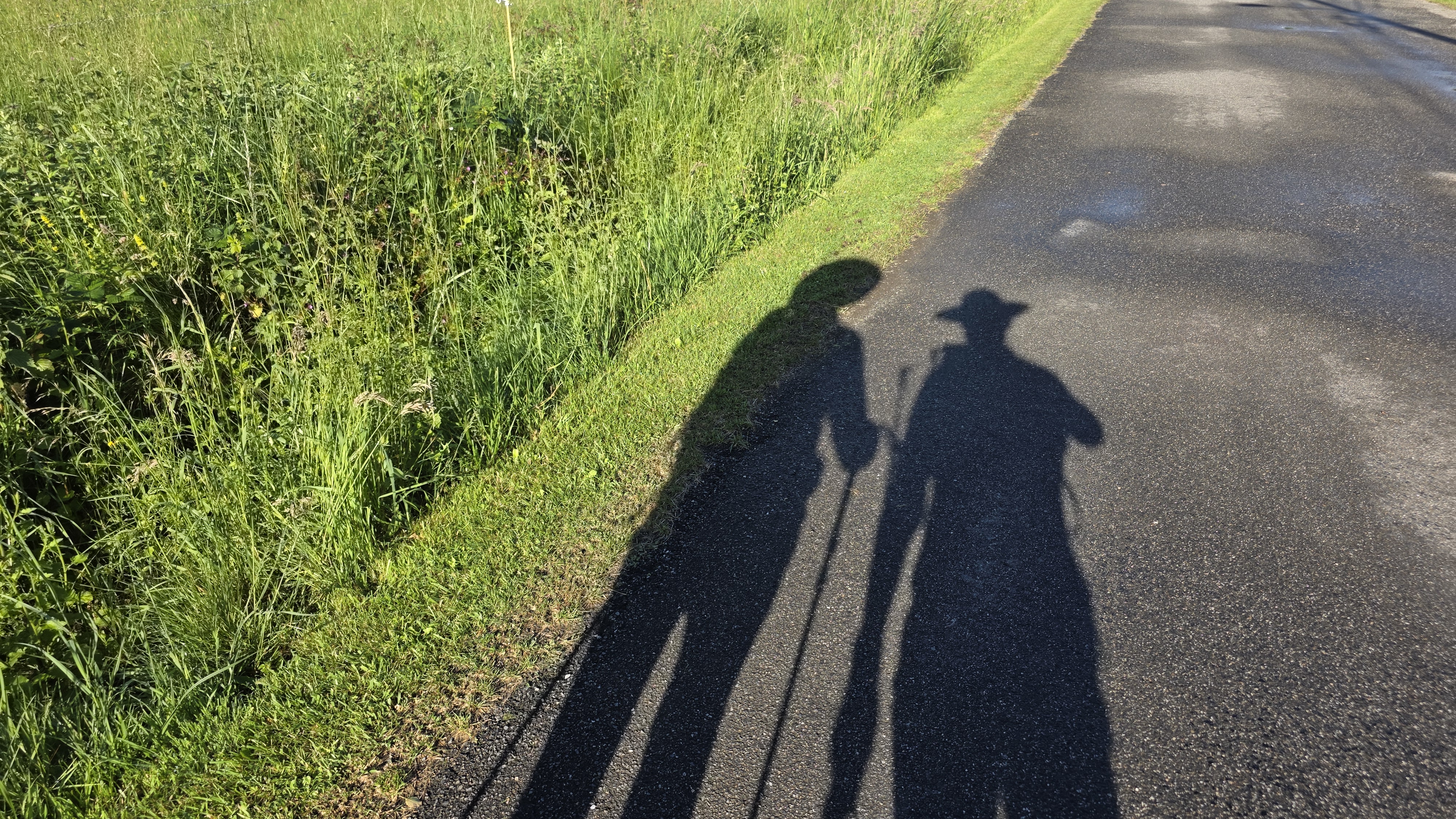Deuxième mois sur les chemins de Compostelle