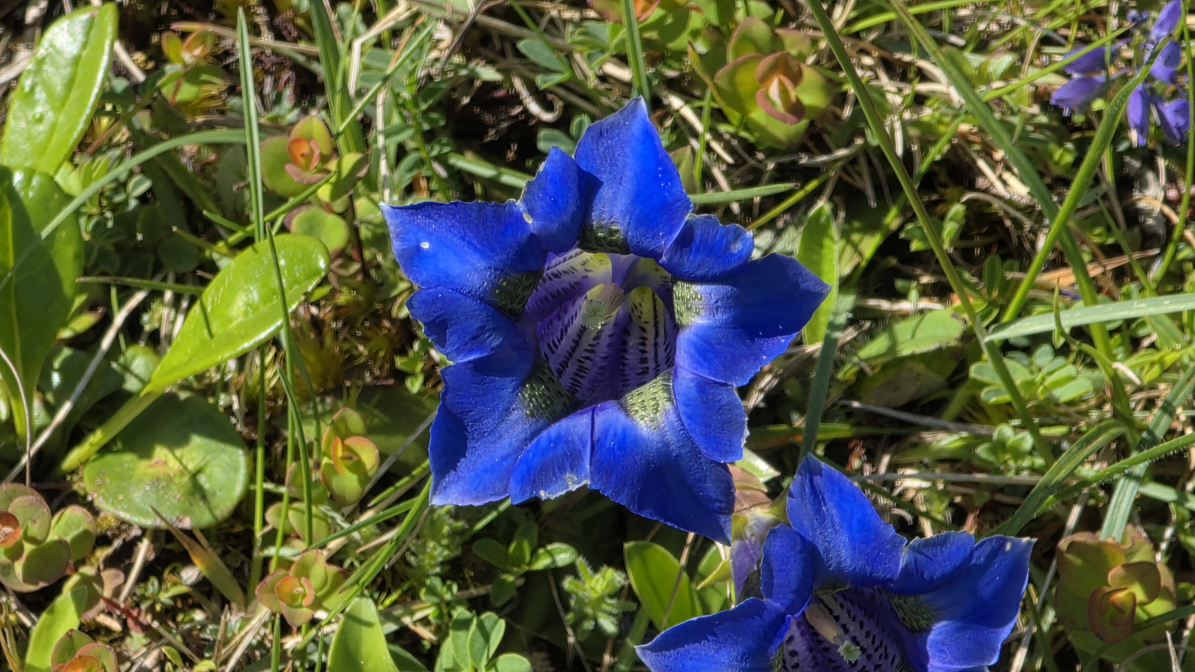 Compostelle semaine 6