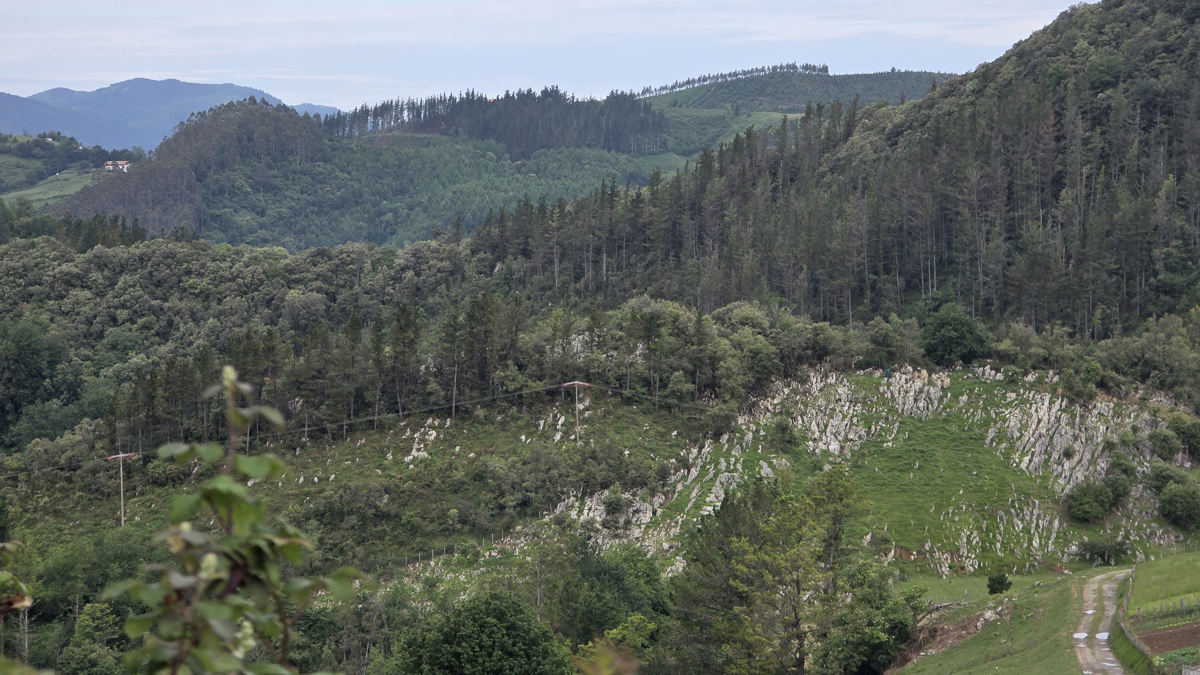 Du flysch au karst