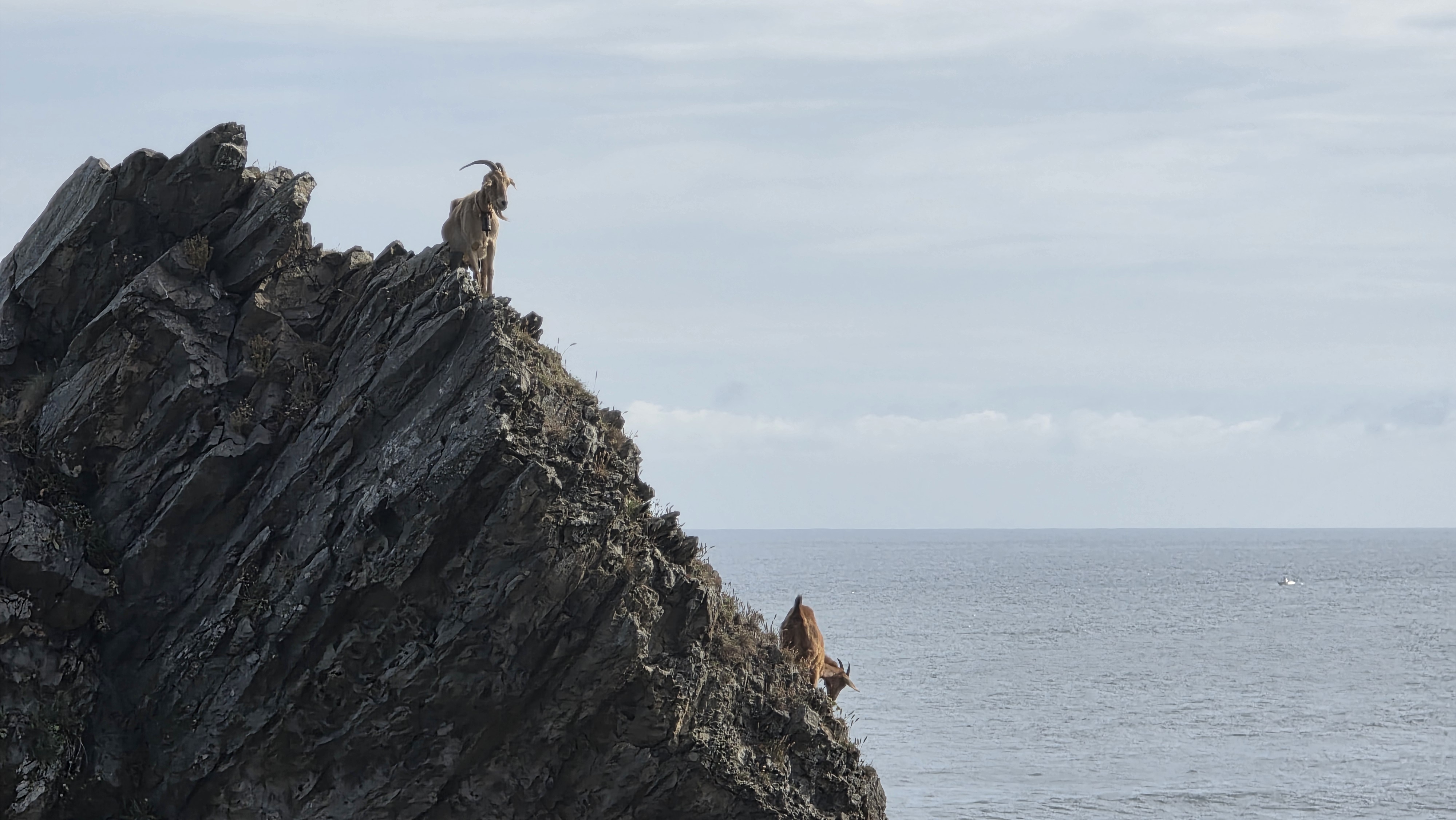 Compostelle semaine 14