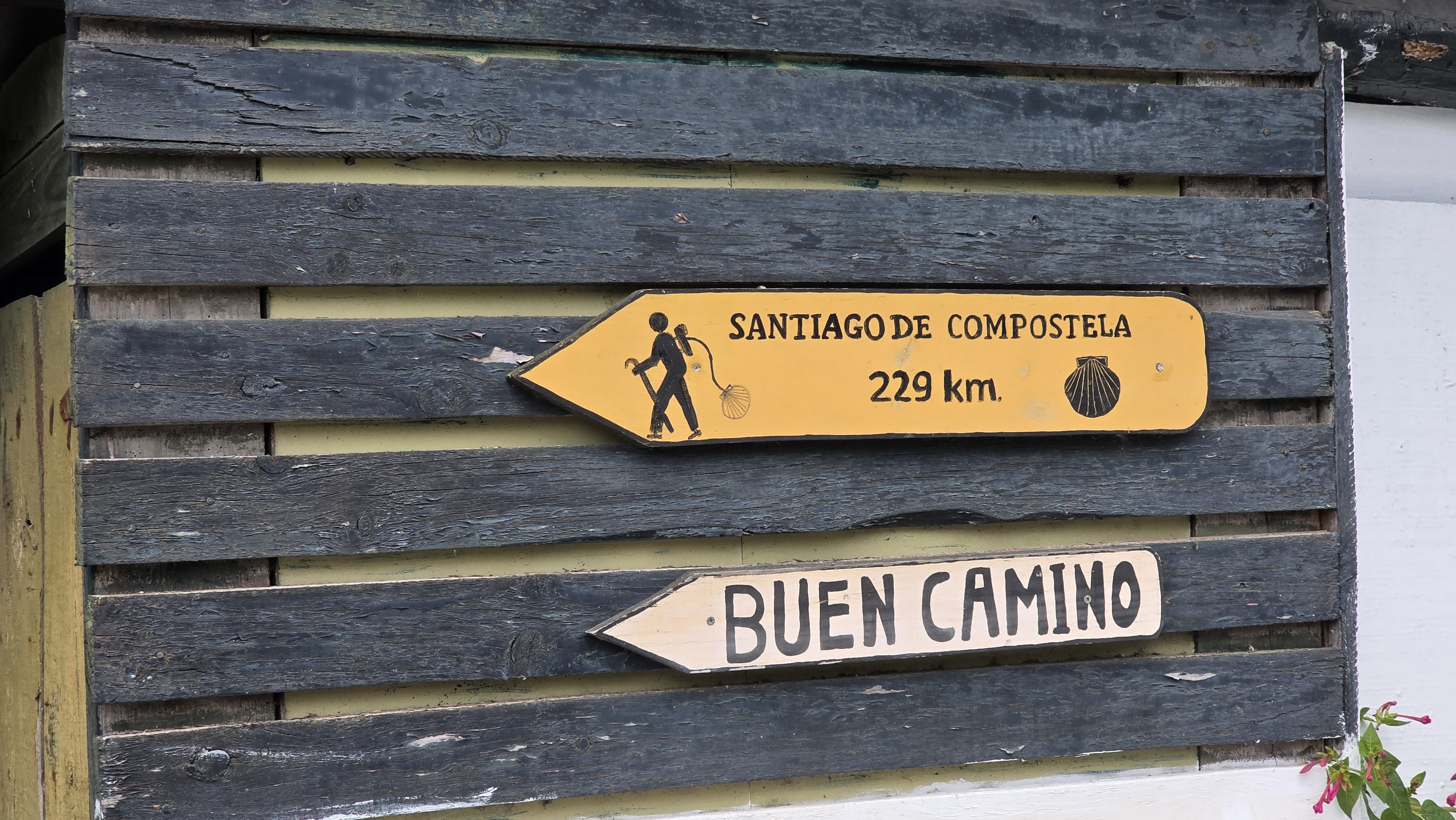 Le projet, version 4