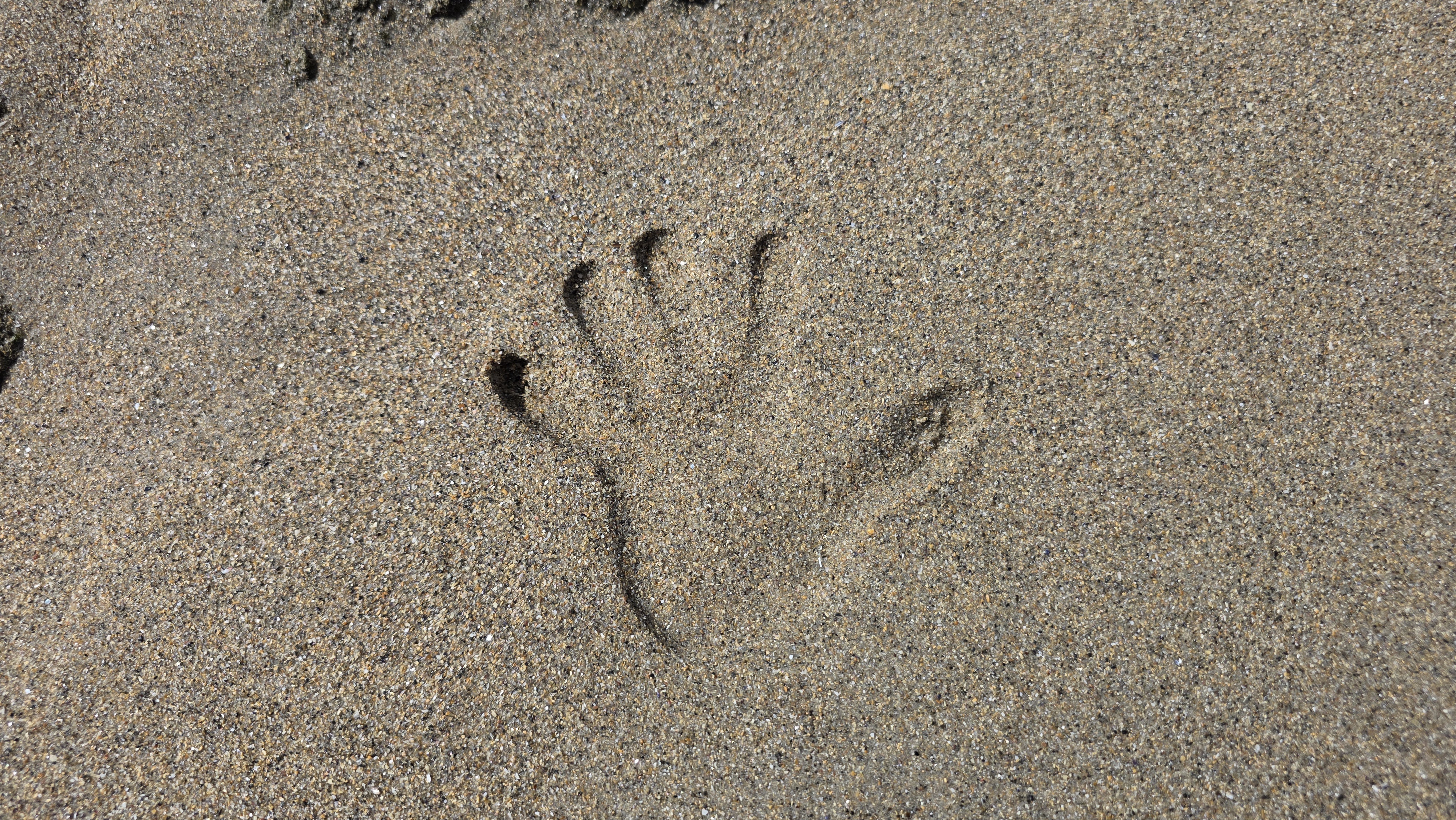 Cinquième mois sur les chemins de Compostelle et d’ailleurs