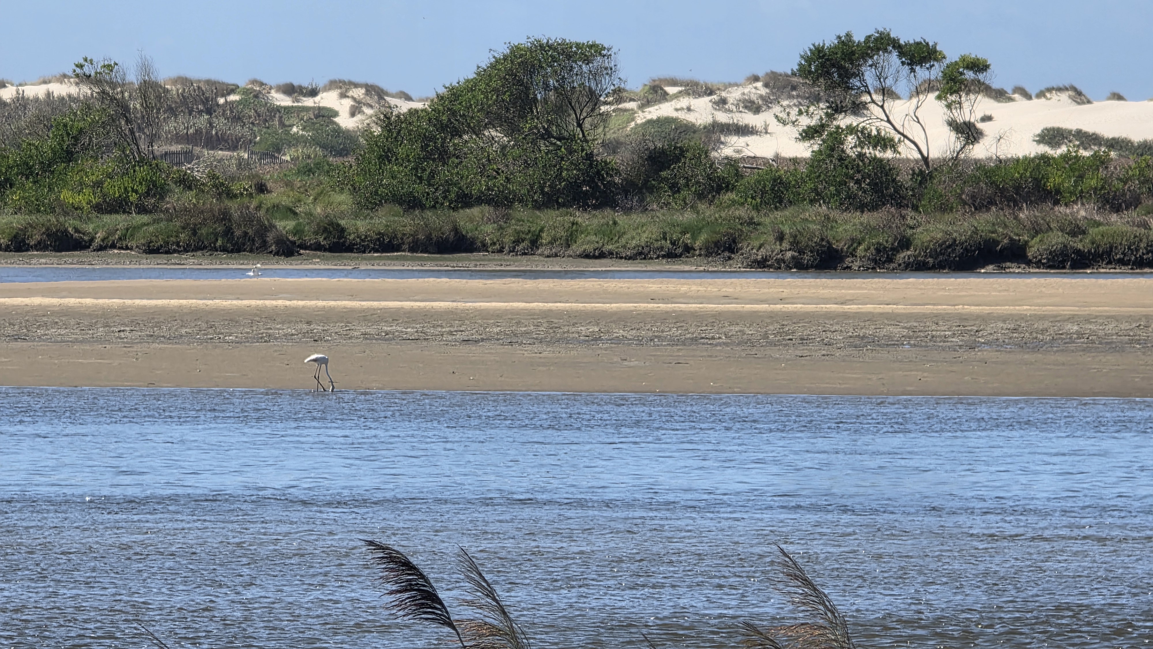 Praia da Barra – Praia de Mira