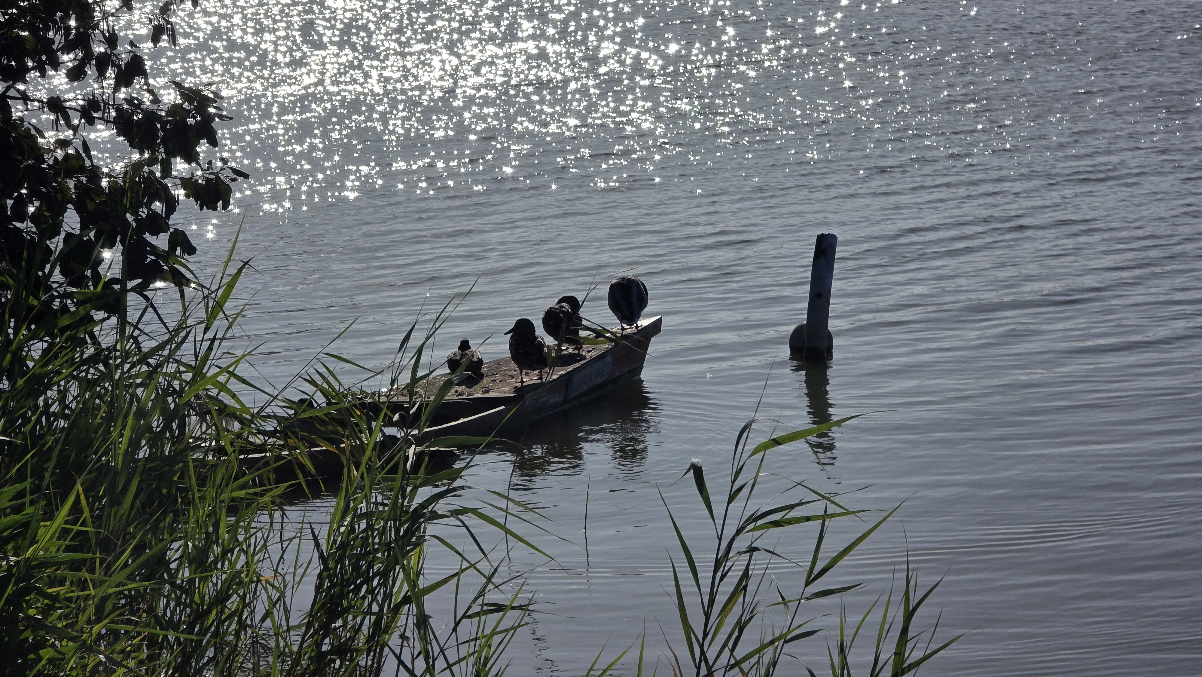 Praia de Mira – Corujeira