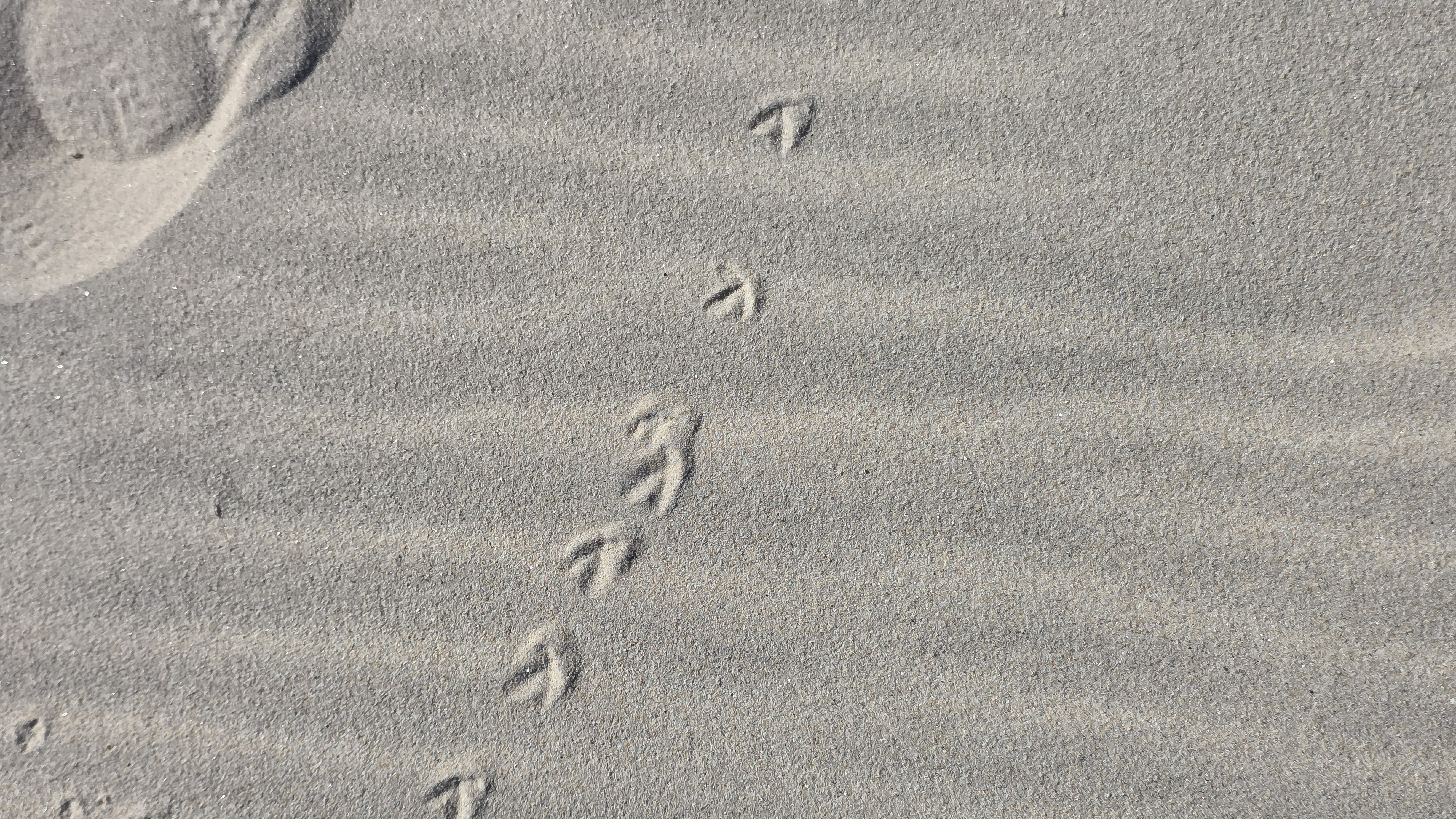 Sixième mois sur les chemins de Compostelle et d&rsquo;ailleurs