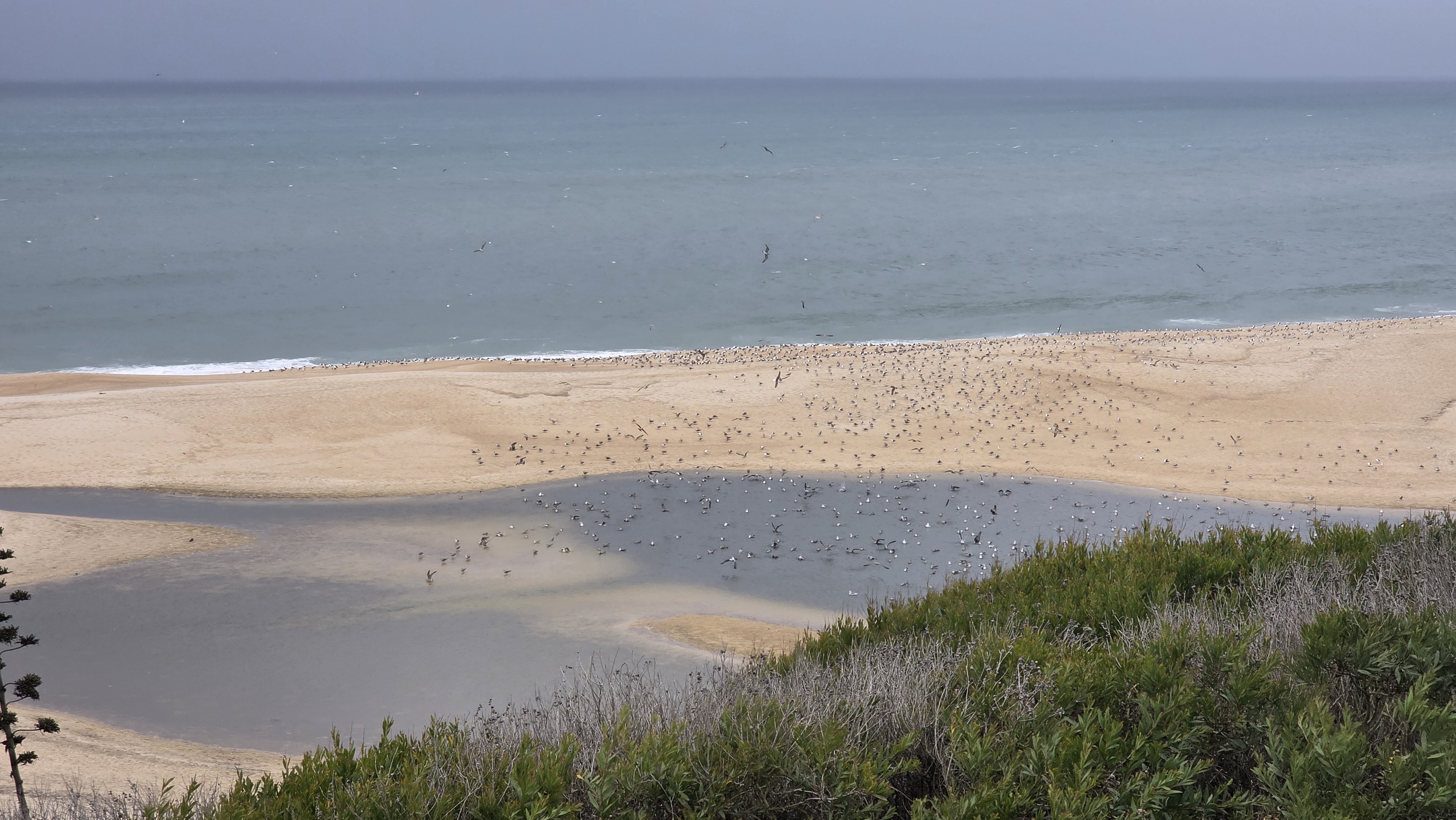 Pedrògão – São Pedro de Moel