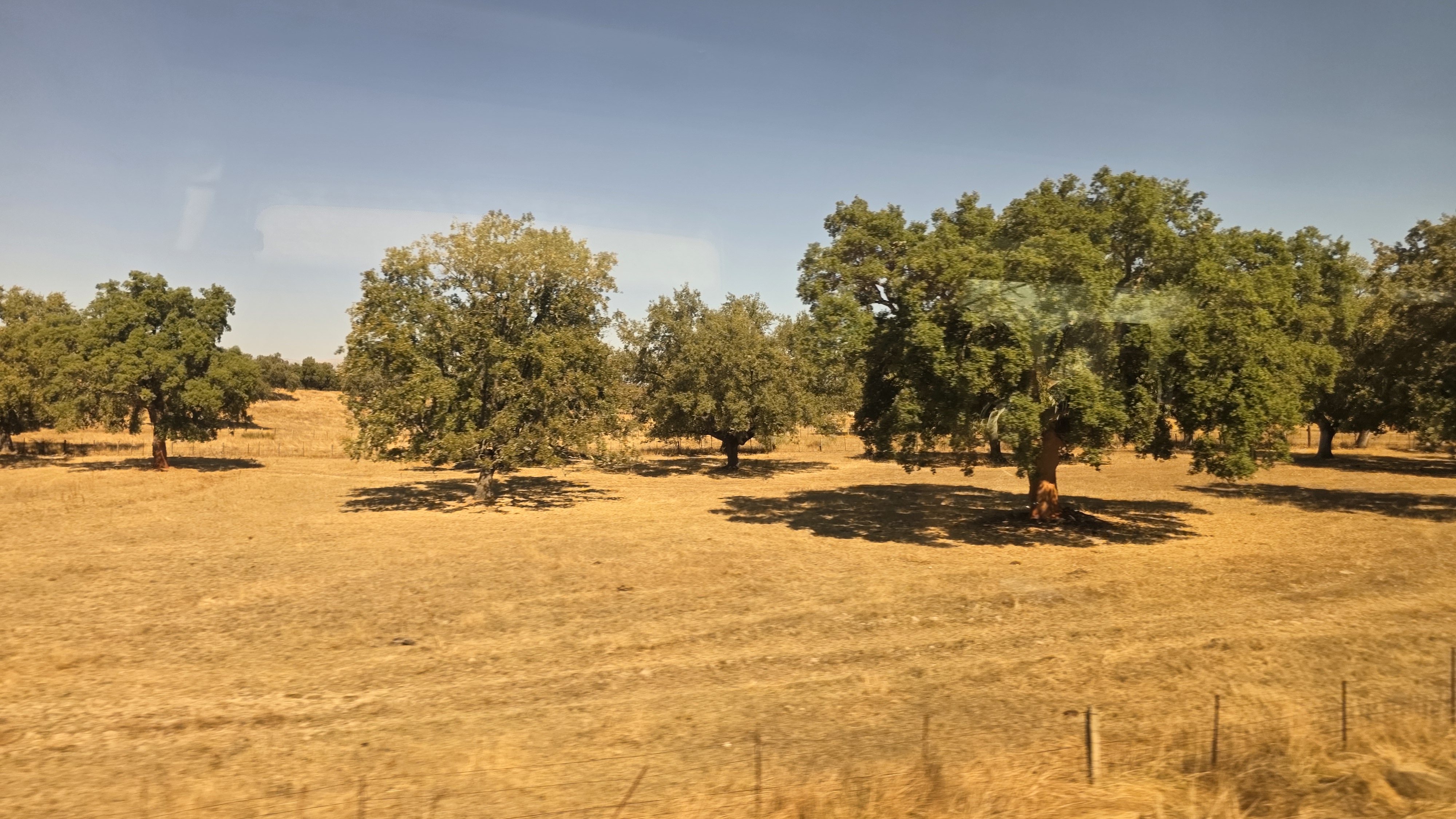 Mérida – Madrid (en train)