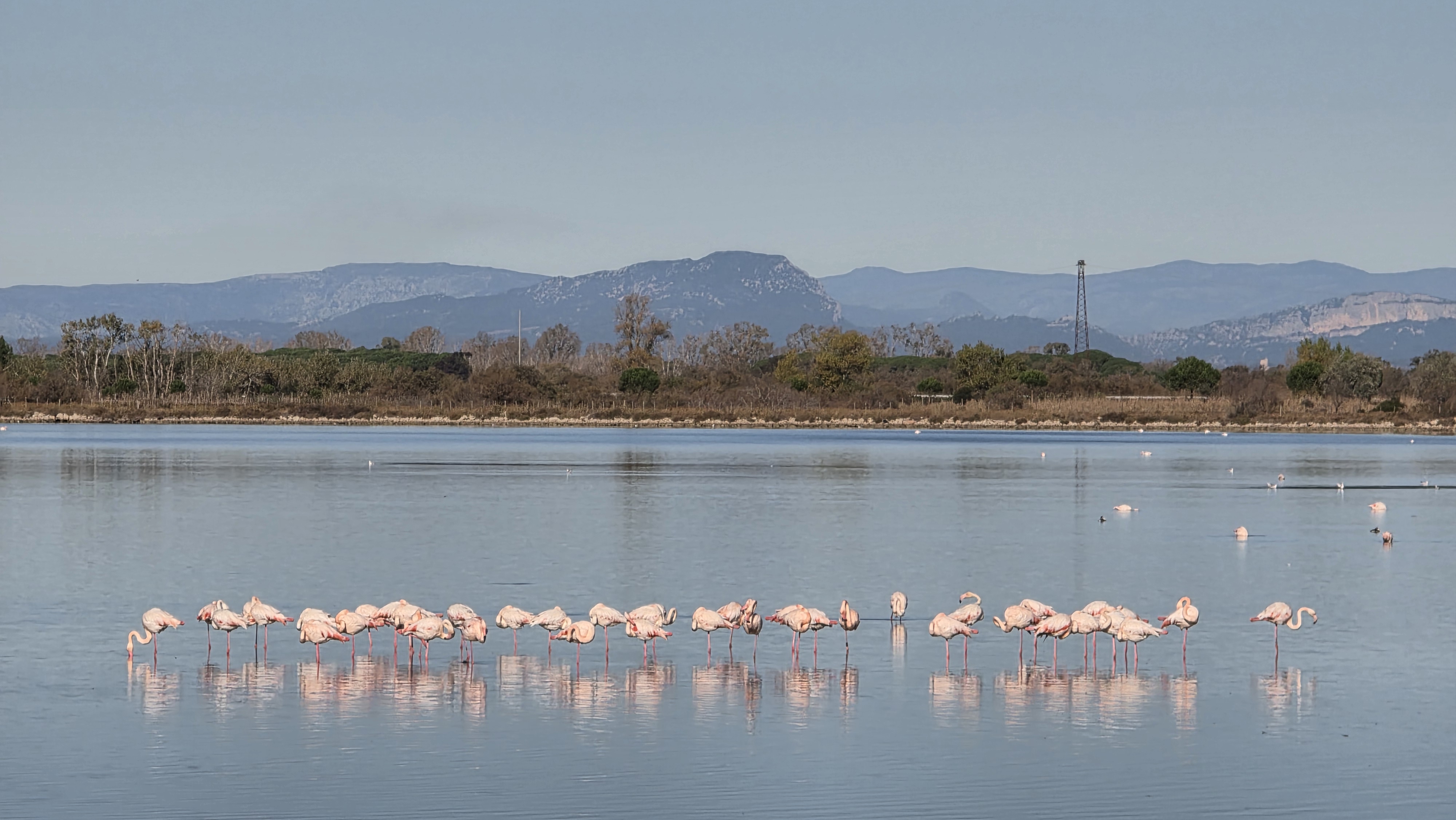 Aigues Mortes – Pérols