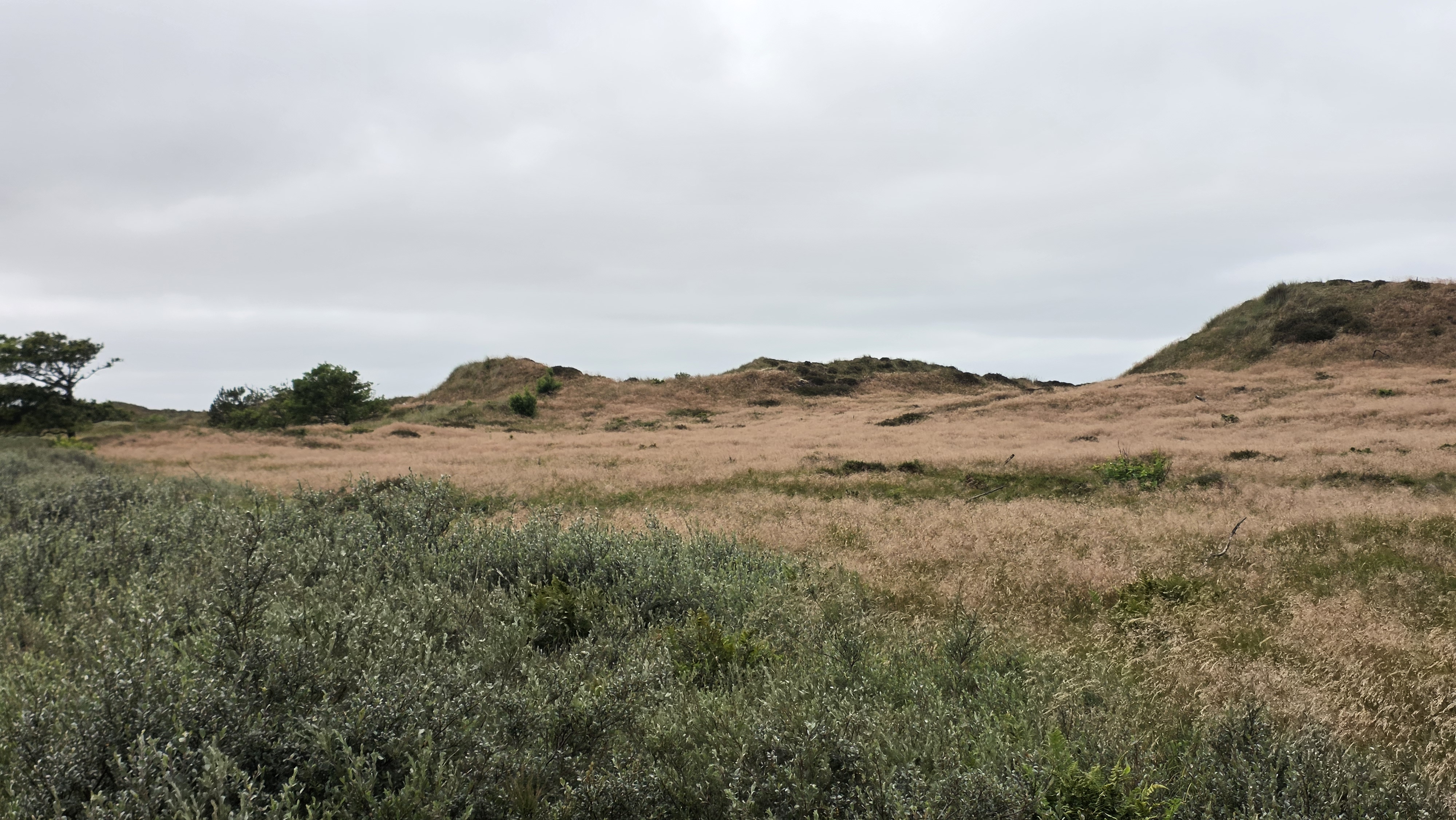 Rømø