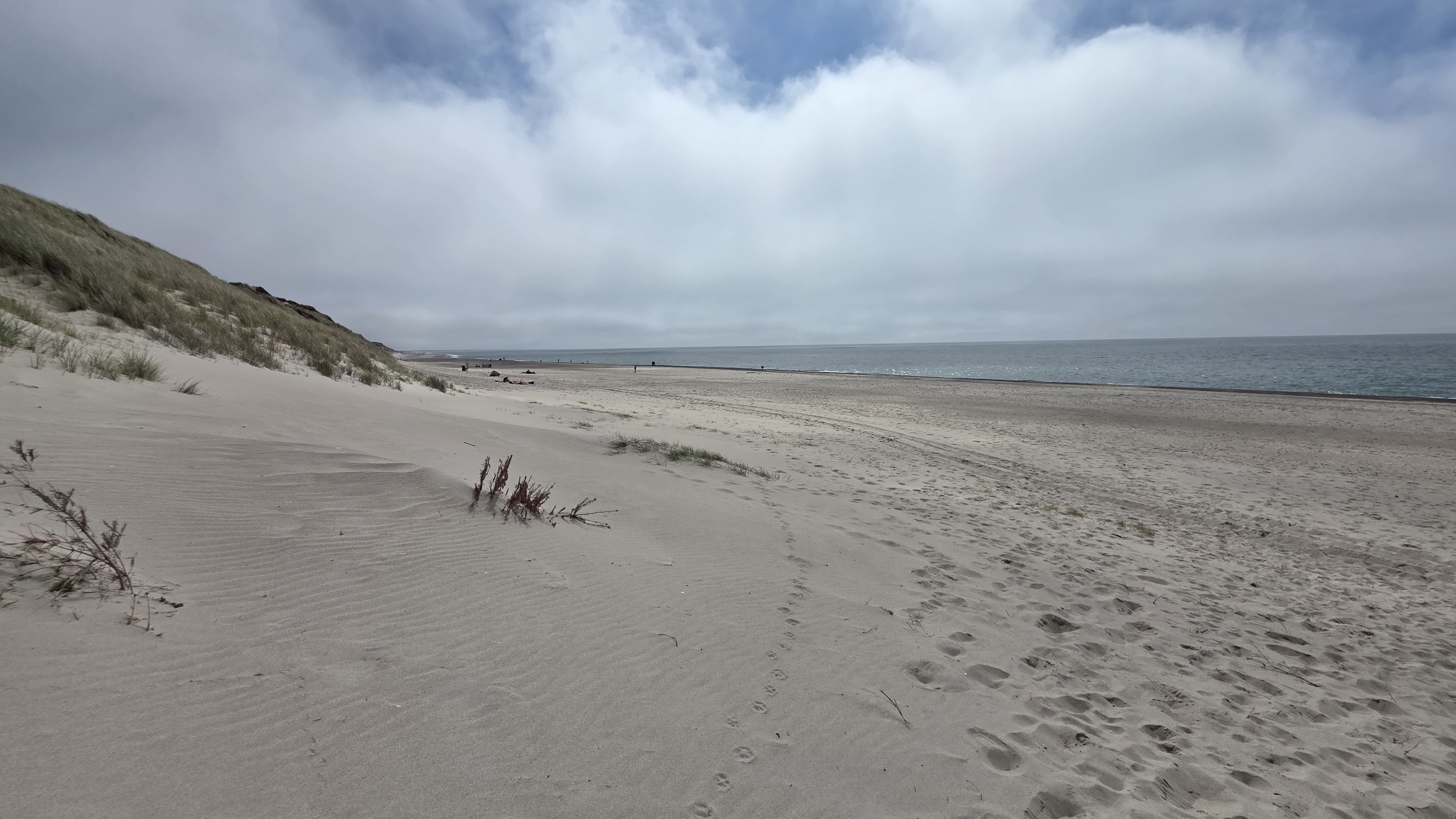 Ribe – Løkken