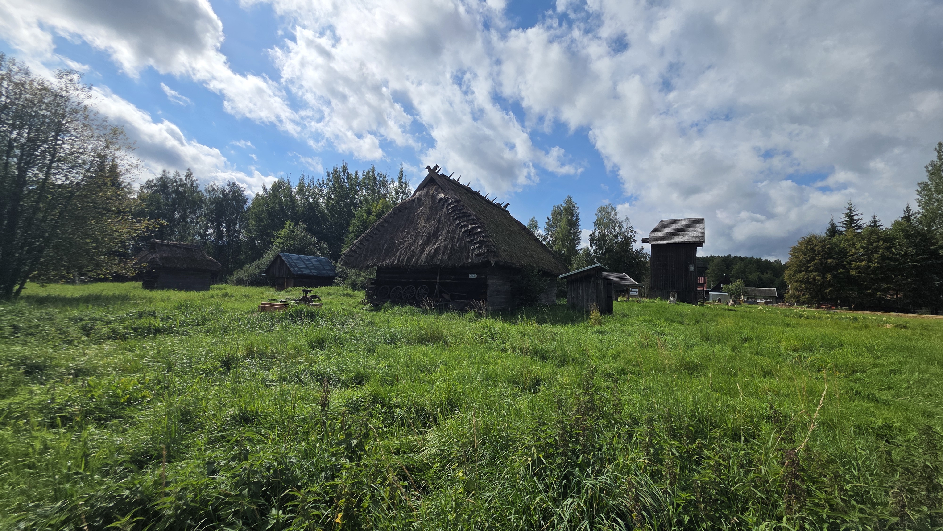 Repos à Białowieża