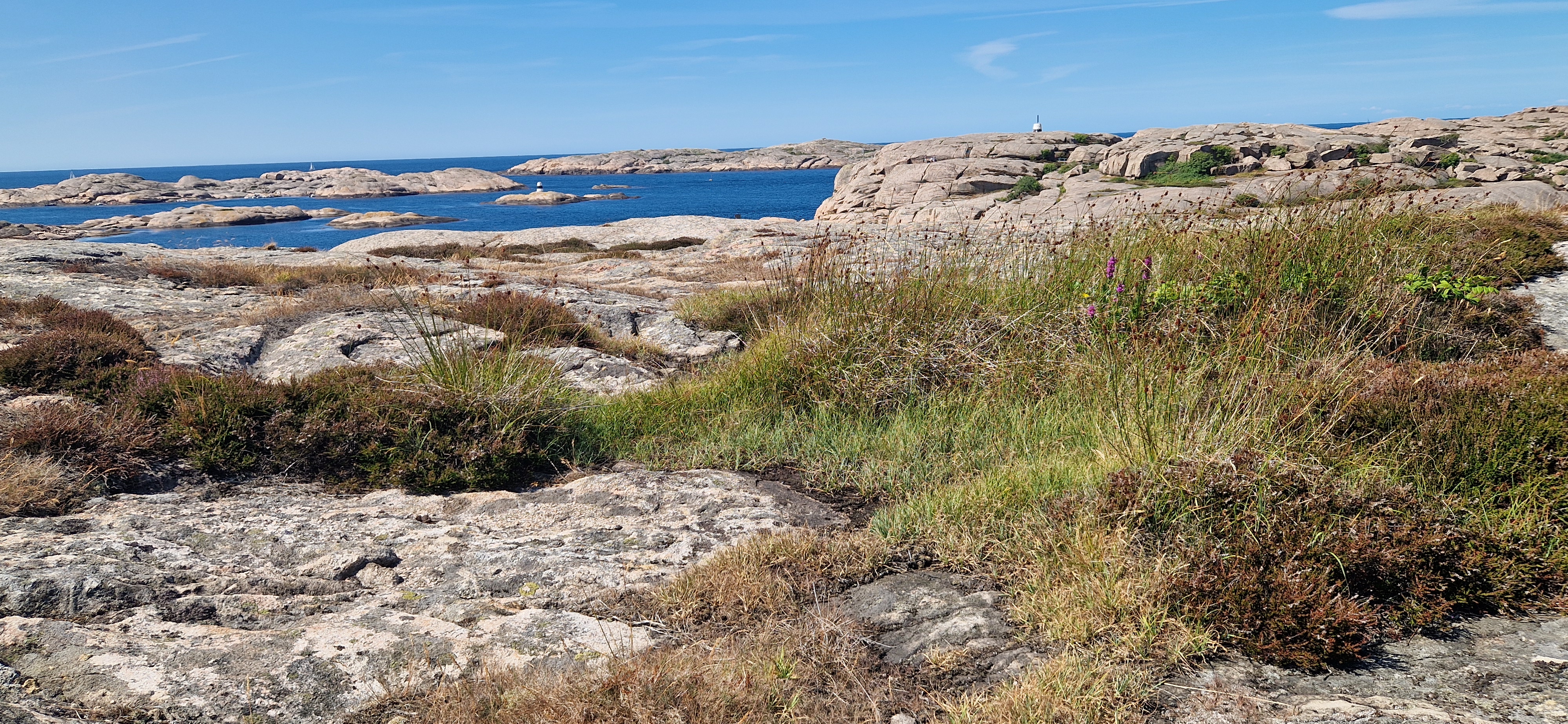 Uddevalla – Halden
