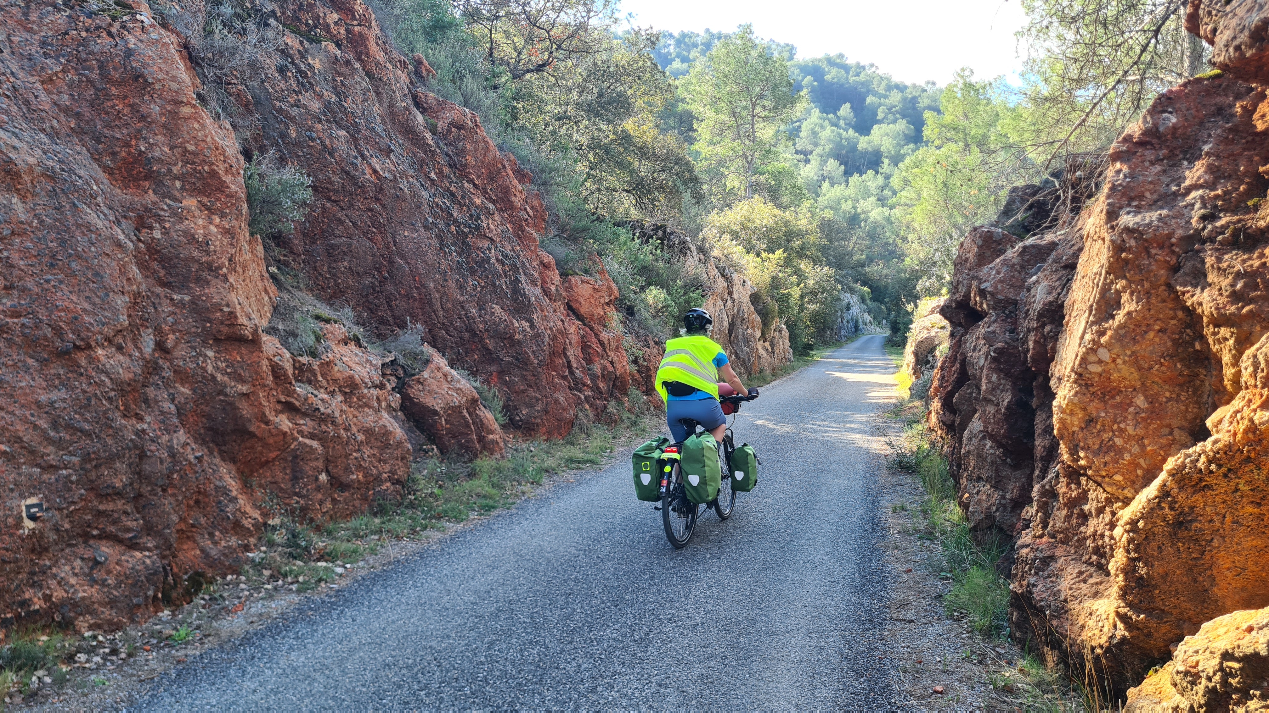 Salernes – Figanières : la Dracénie