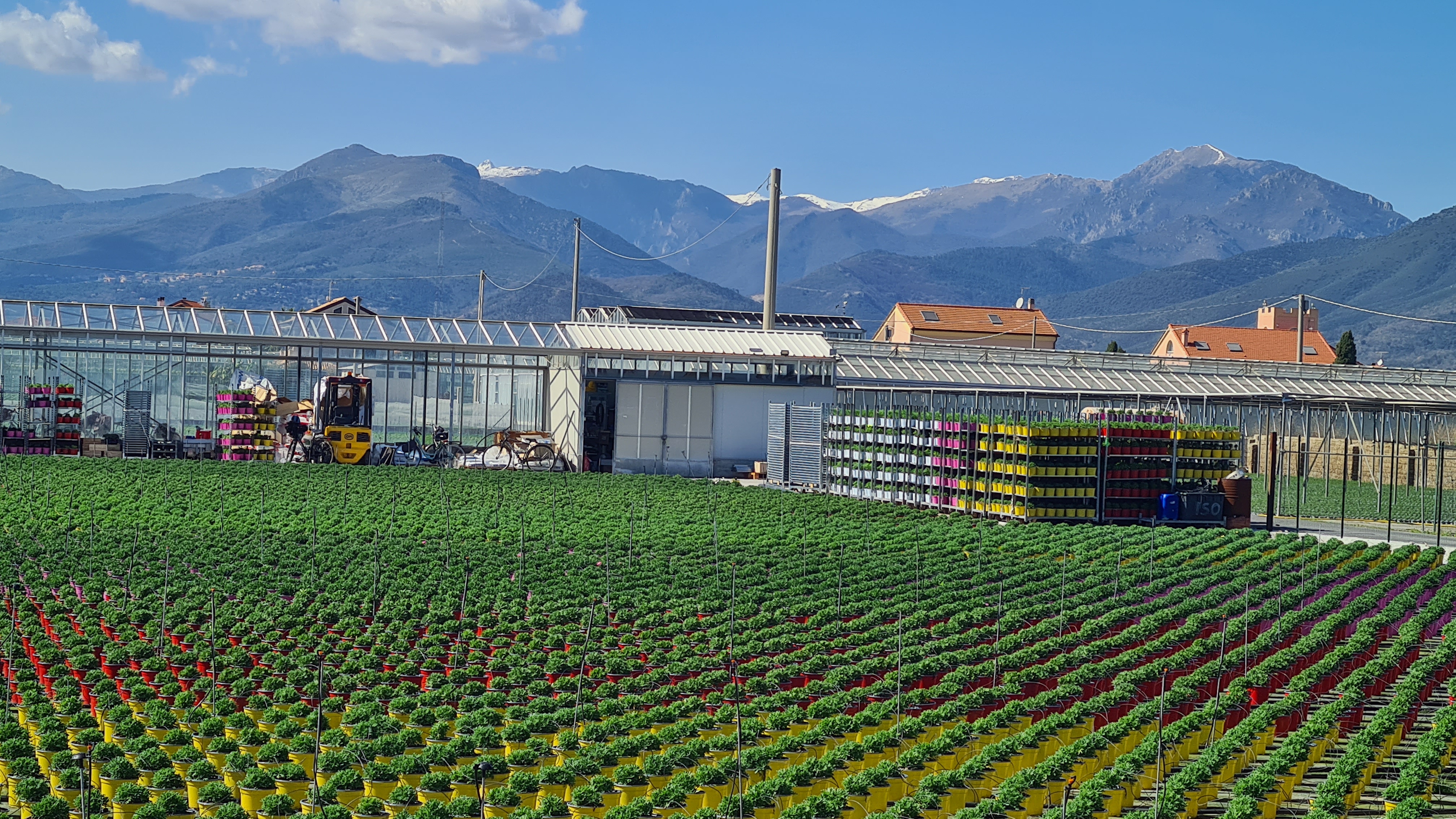 San Lorenzo al Mare – Spotorno : Riviera di Ponente