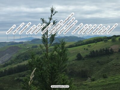 20250604_112225_43.29092_-2.29787