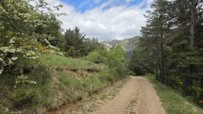 20260516_131747